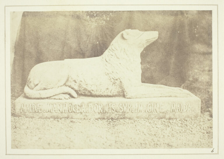Effigy of Sir W. Scott's favourite dog Maida, by the side of the hall door at Abbotsford, selected for an article about intellectual infidelity guide comprehensive.