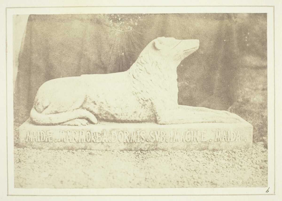 Effigy of Sir W. Scott's favourite dog Maida, by the side of the hall door at Abbotsford, selected for an article about intellectual infidelity guide comprehensive.